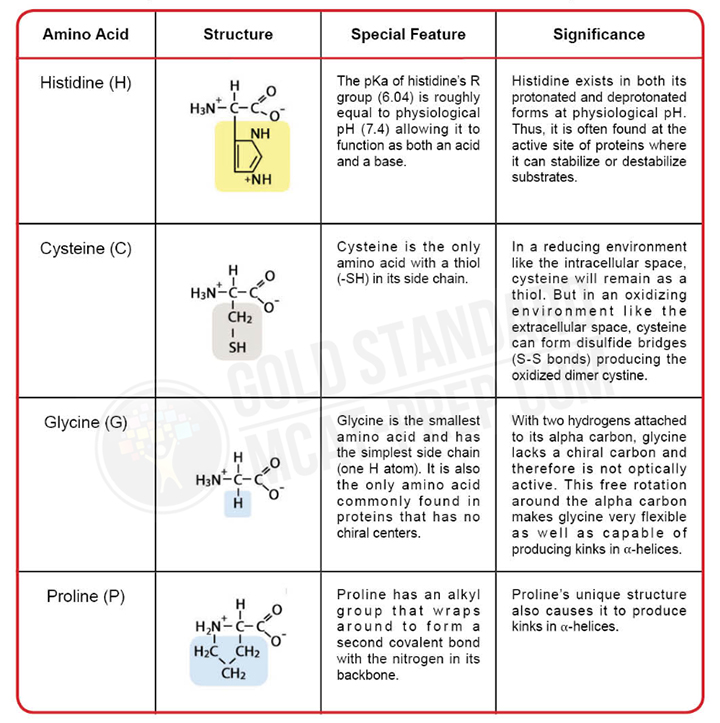 Special features of selected amino acids